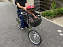 1歳から乗せられる！安くておすすめの子ども乗せ自転車「Birthday」